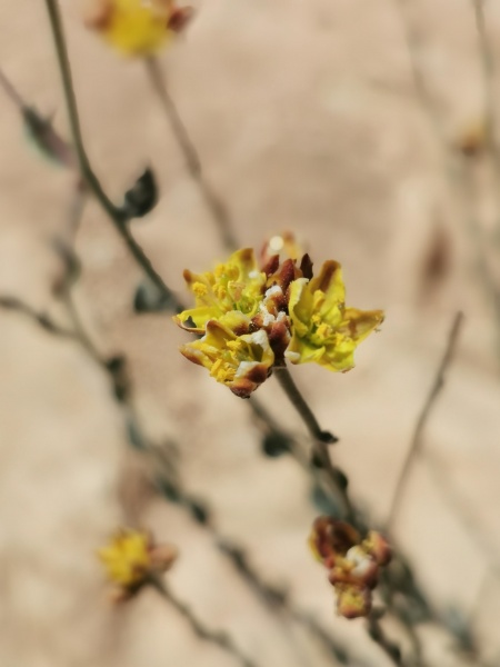 קובץ:2023-05-10T10 44 54.301548184858.jpg