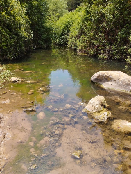 קובץ:2023-05-23T12 31 32.698678146843.jpg