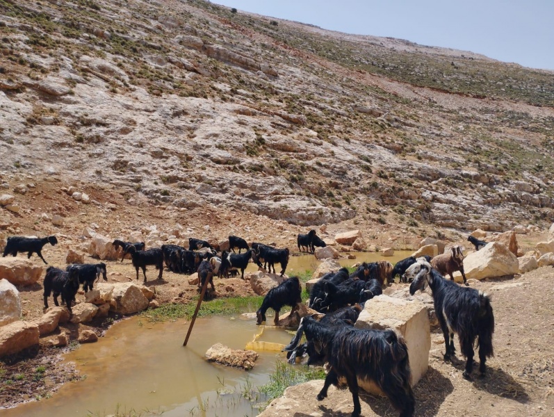 קובץ:2023-05-23T12 54 01.019255616054.jpg