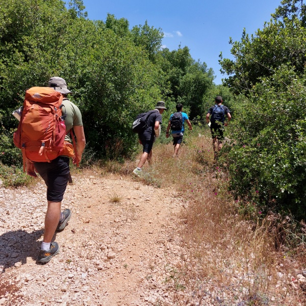 קובץ:2023-05-30T11 34 16.971223914527.jpg