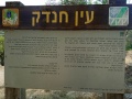 תמונה ממוזערת לגרסה מתאריך 13:45, 27 ביוני 2023