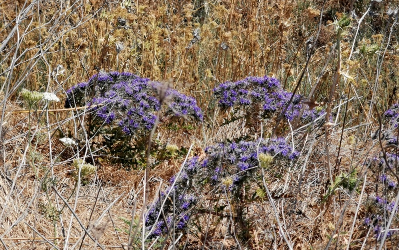 קובץ:2023-06-21T11 03 56.320151379119.jpg