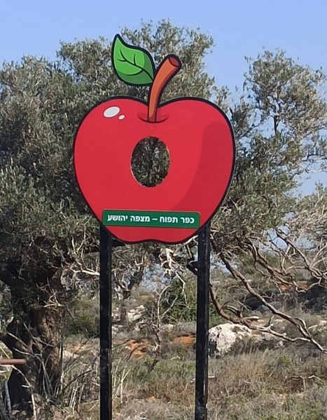 קובץ:2023-07-22T23 08 05.798140257852.jpg