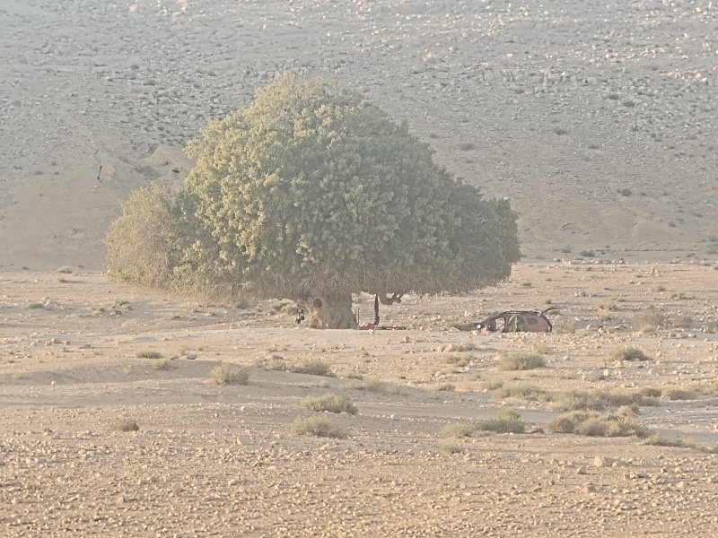 קובץ:2023-08-07T06 32 07.379585385121.jpg