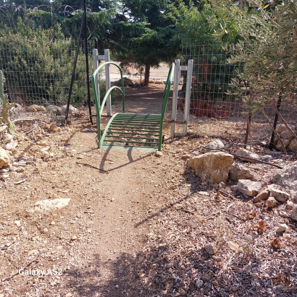 קובץ:2023-08-12T09 16 10.497786716460.jpg