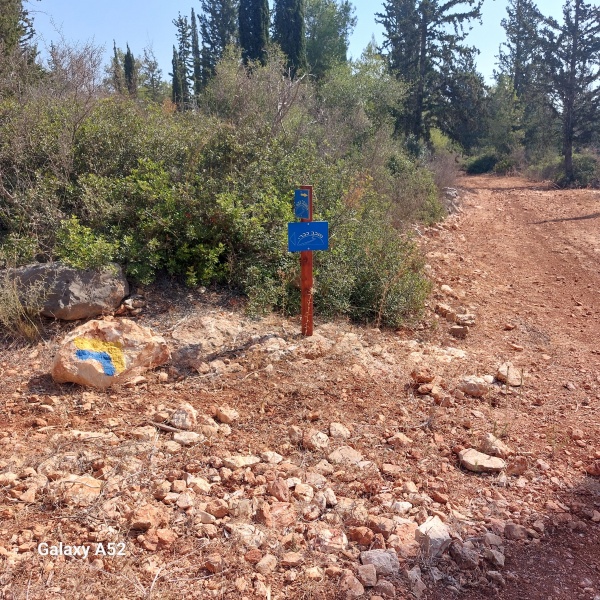 קובץ:2023-08-12T09 46 00.743747977544.jpg