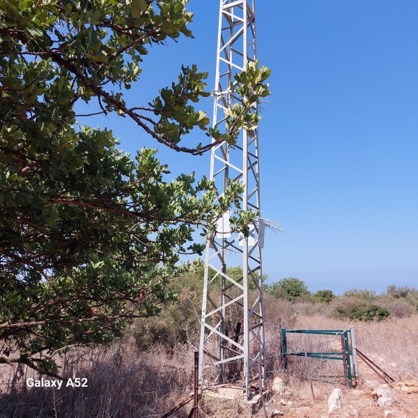 קובץ:2023-08-12T10 30 19.849282284092.jpg