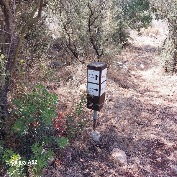 קובץ:2023-08-12T10 41 40.104986542681.jpg