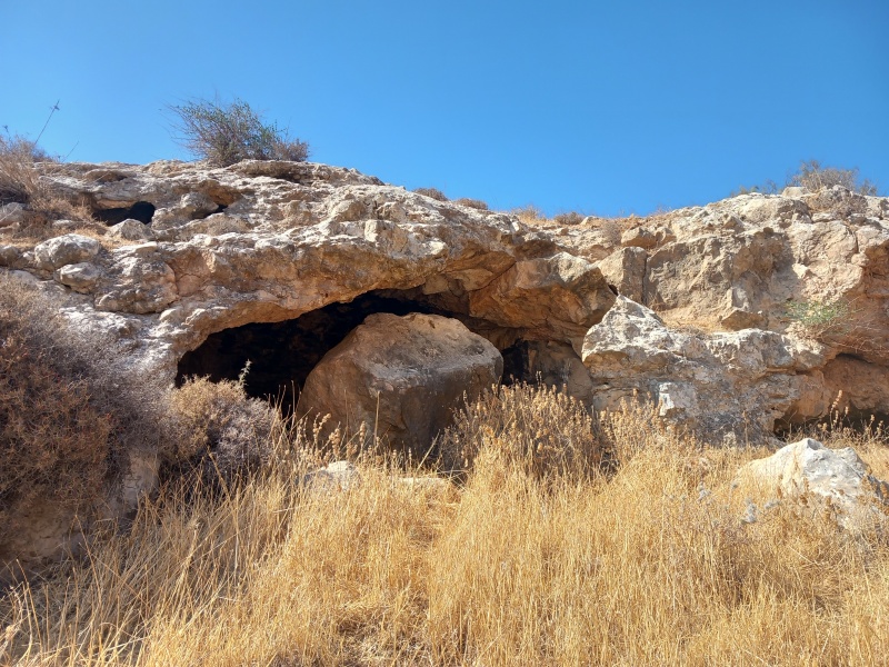 קובץ:2023-08-26T09 32 28.041764278374.jpg