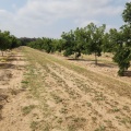 תמונה ממוזערת לגרסה מתאריך 07:26, 1 בספטמבר 2023