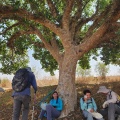 תמונה ממוזערת לגרסה מתאריך 09:48, 1 בספטמבר 2023