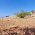 תמונה ממוזערת לגרסה מתאריך 06:19, 28 בספטמבר 2023