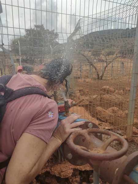 קובץ:2023-10-01T15 00 21.646987265260.jpg