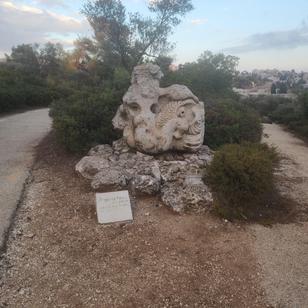 קובץ:2023-10-16T17 46 12.595944700075.jpg