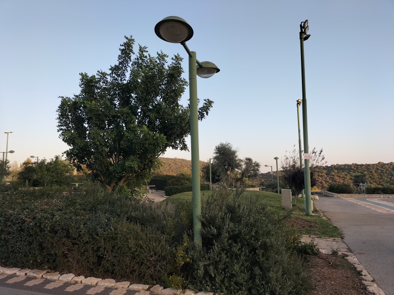 קובץ:2023-10-25T17 23 10.305732556451.jpg