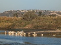 תמונה ממוזערת לגרסה מתאריך 14:02, 5 בנובמבר 2023