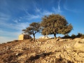 תמונה ממוזערת לגרסה מתאריך 05:49, 10 בנובמבר 2023