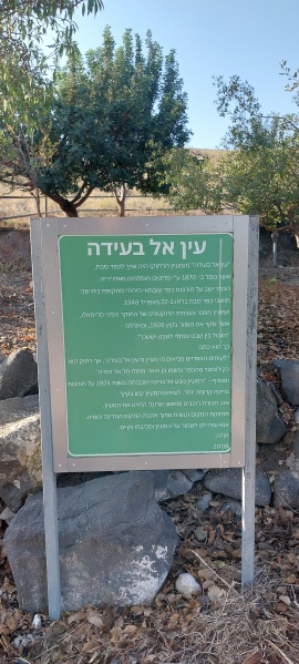 קובץ:2023-11-18T07 48 47.035184832834.jpg