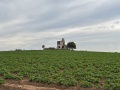 תמונה ממוזערת לגרסה מתאריך 06:27, 28 במרץ 2024