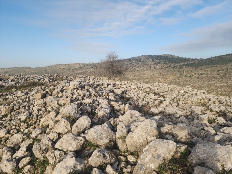 קובץ:2023-12-22T08 04 22.515040707050.jpg