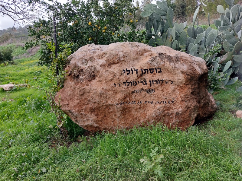 קובץ:2024-01-12T15 34 01.532424784046.jpg