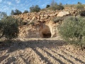 תמונה ממוזערת לגרסה מתאריך 13:40, 22 בינואר 2024