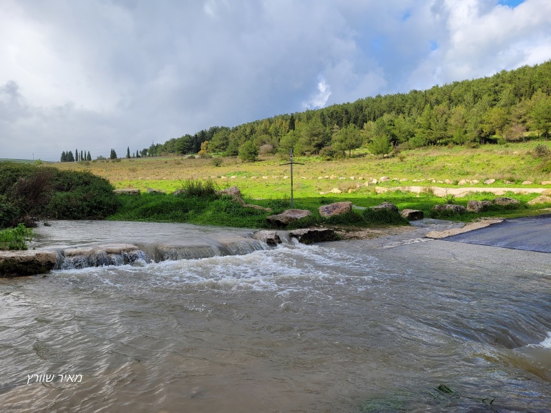 קובץ:2024-02-05T14 02 29.189308705447.jpg