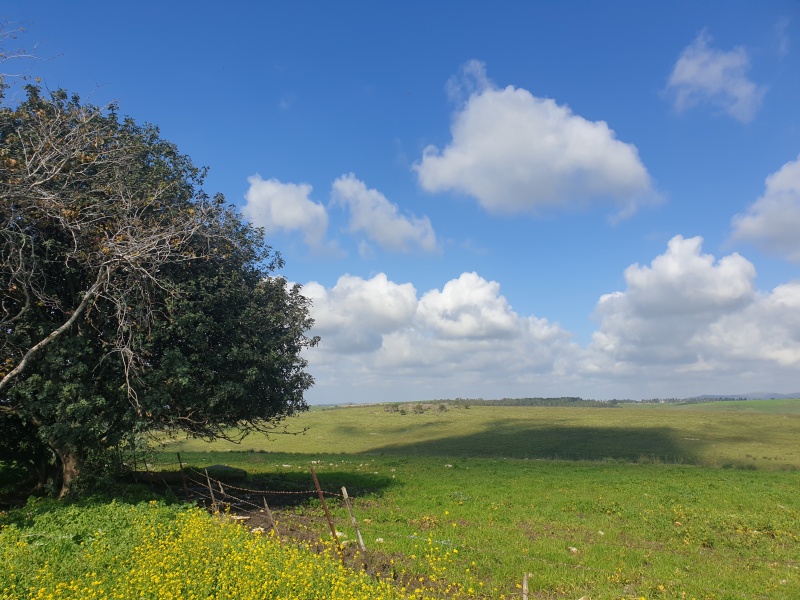 קובץ:2024-02-07T10 13 02.321648719115.jpg