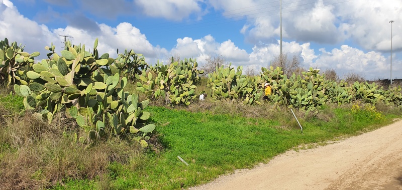 קובץ:2024-02-10T10 53 34.516668935038.jpg