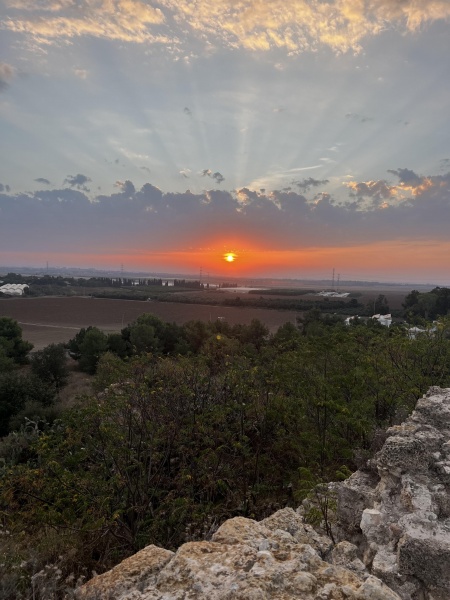 קובץ:2024-02-11T17 33 17.399174760659.jpg