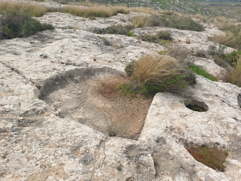 קובץ:2024-02-12T13 05 01.842460420166.jpg