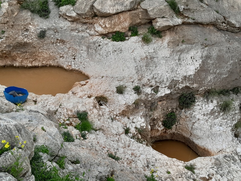 קובץ:2024-02-16T09 59 10.037189210745.jpg