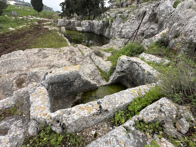 קובץ:2024-02-23T13 21 49.857550177313.jpg