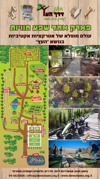 קובץ:2024-02-26T12 08 25.906795542836.jpg