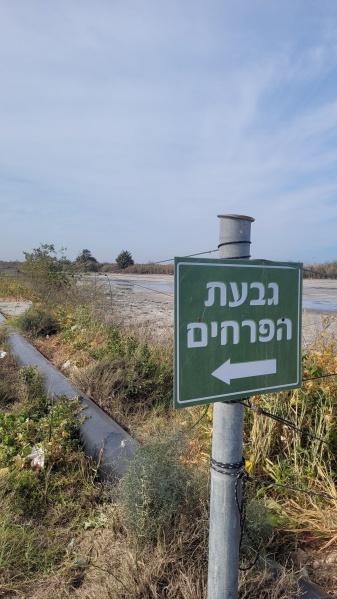 קובץ:2024-03-01T09 31 21.000927680847.jpg