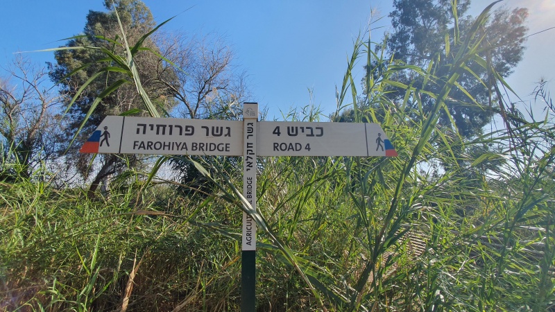 קובץ:2024-03-01T15 05 32.135031207594.jpg