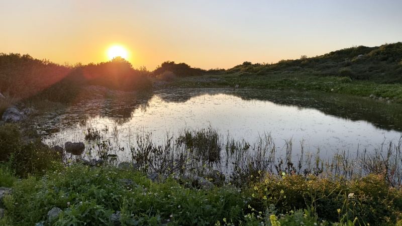 קובץ:2024-03-11T17 30 26.40575197850.jpg