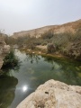 תמונה ממוזערת לגרסה מתאריך 12:00, 28 במרץ 2024