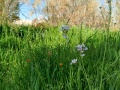 תמונה ממוזערת לגרסה מתאריך 14:39, 10 באפריל 2024