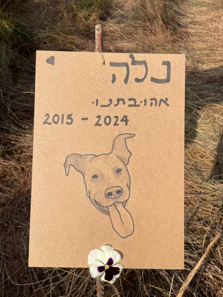 קובץ:2024-04-14T17 40 41.139129418280.jpg