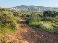 תמונה ממוזערת לגרסה מתאריך 19:15, 18 באפריל 2024