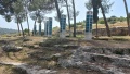 תמונה ממוזערת לגרסה מתאריך 12:20, 23 באפריל 2024