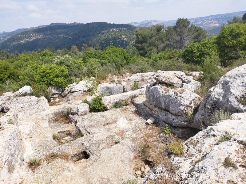 קובץ:2024-04-30T14 22 07.024391979066.jpg