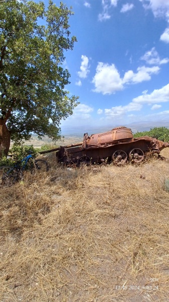 קובץ:2024-05-24T12 00 56.600454764410.jpg