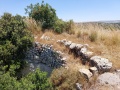 תמונה ממוזערת לגרסה מתאריך 09:00, 24 במאי 2024