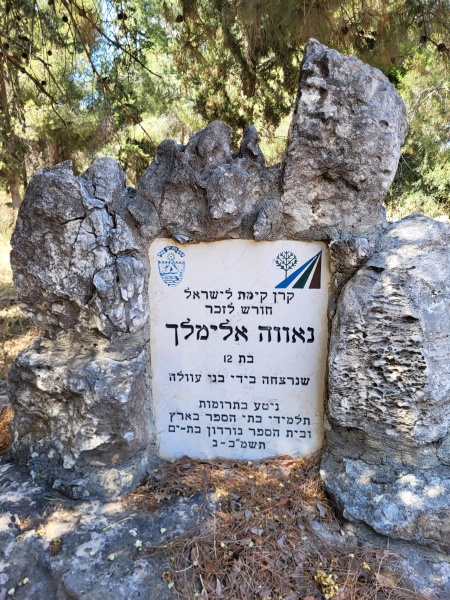 קובץ:2024-05-29T15 07 57.627515417097.jpg