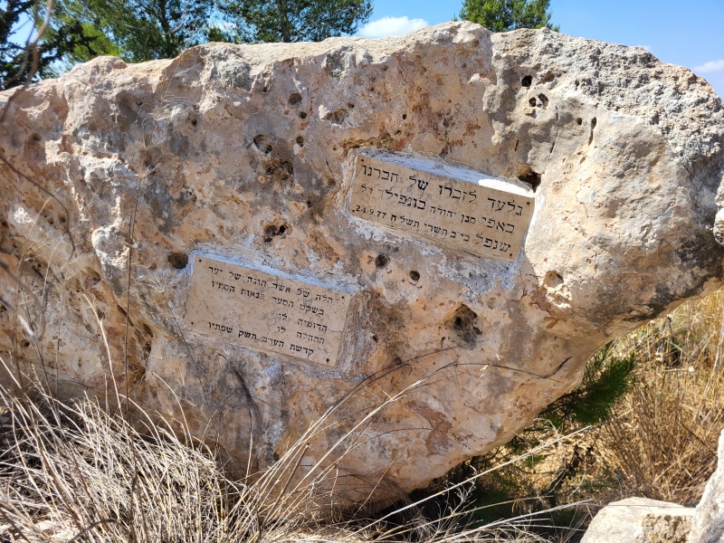 קובץ:2024-05-29T15 19 33.15780488092.jpg