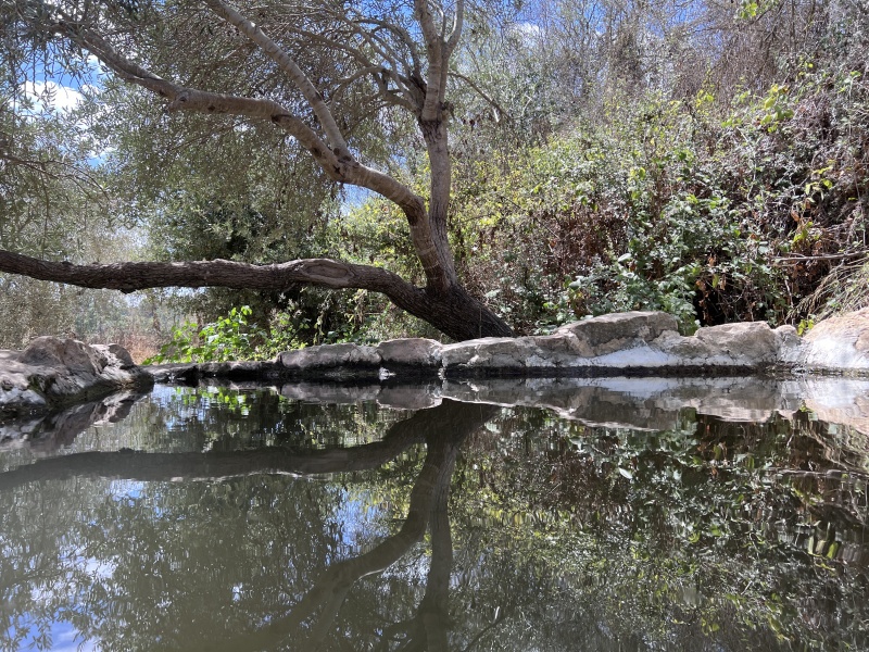 קובץ:2024-08-28T13 19 42.421711487547.jpg