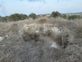 תמונה ממוזערת לגרסה מתאריך 16:02, 7 בספטמבר 2024