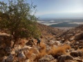 תמונה ממוזערת לגרסה מתאריך 17:25, 5 באוקטובר 2024